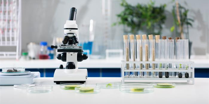 1678253353517343.jpg 1678253353517343.jpg