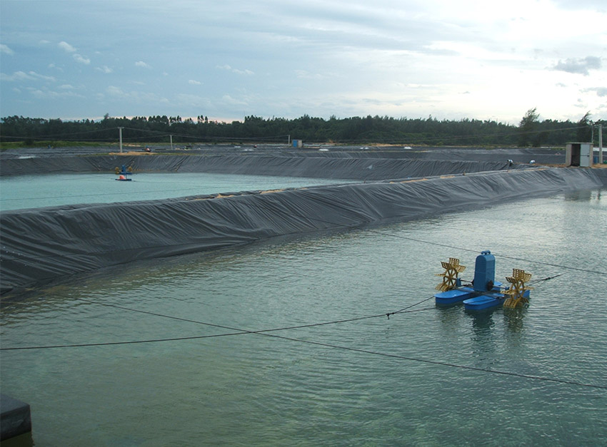 1678415591107666.jpg a.jpg